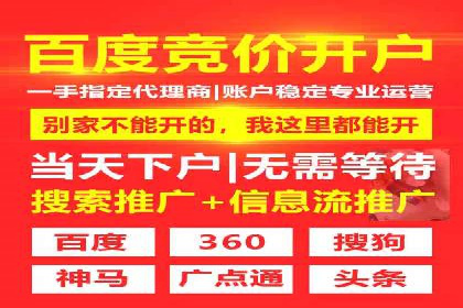 某行业巨头背后的SEM代运营服务公司